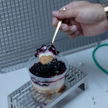 Blueberry Cheese Cake